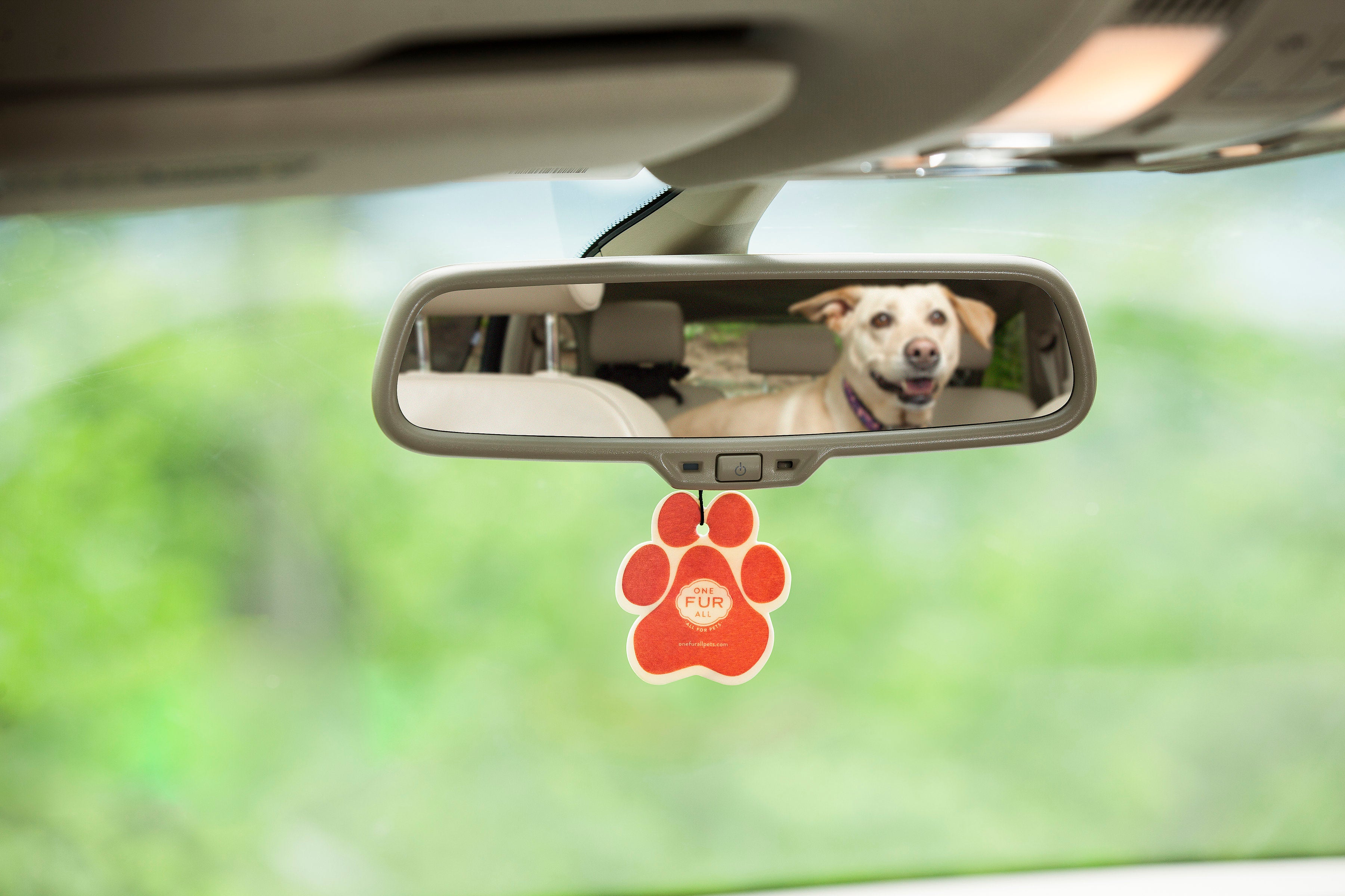 Tips for Using Car Air Fresheners