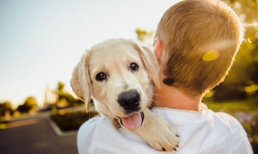 Six Ways Pets Enhance Mental Health