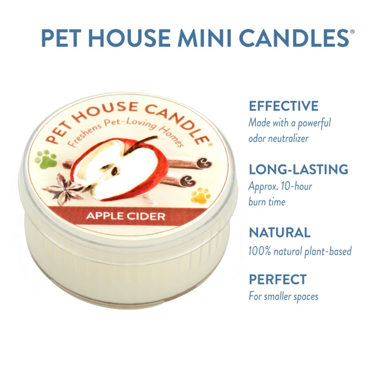 Apple Cider Mini Candle infographics