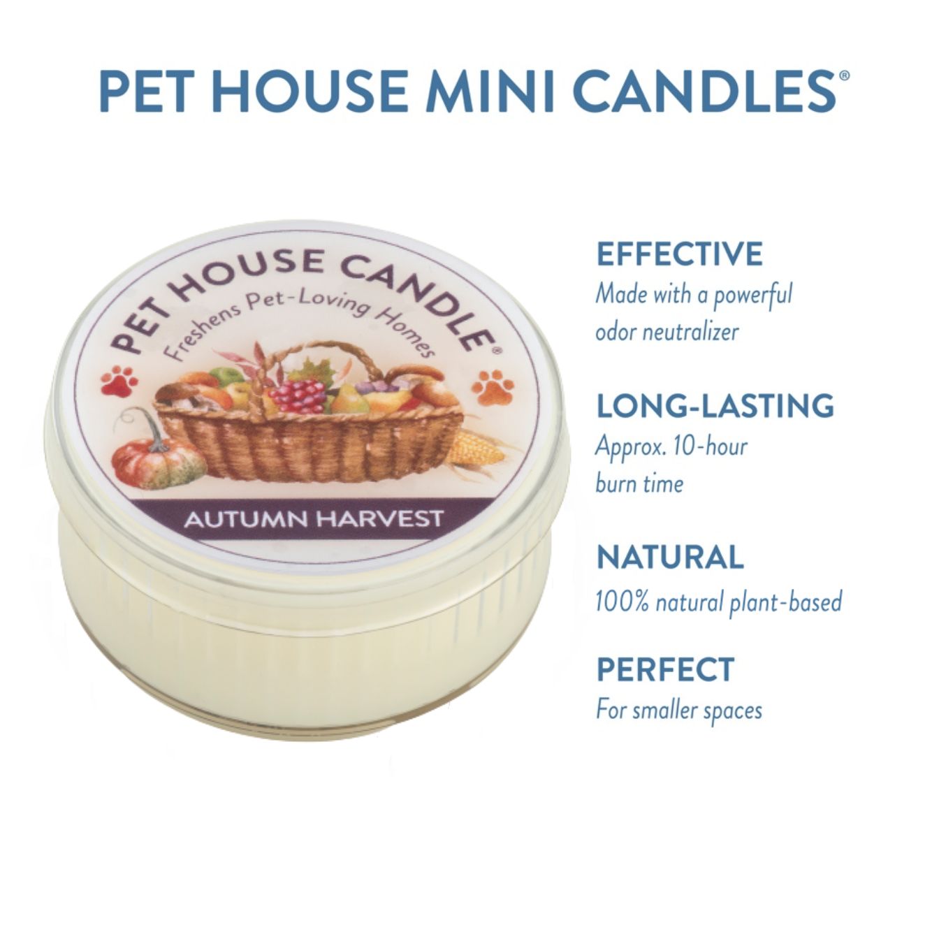 Autumn Harvest Mini Candle infographics