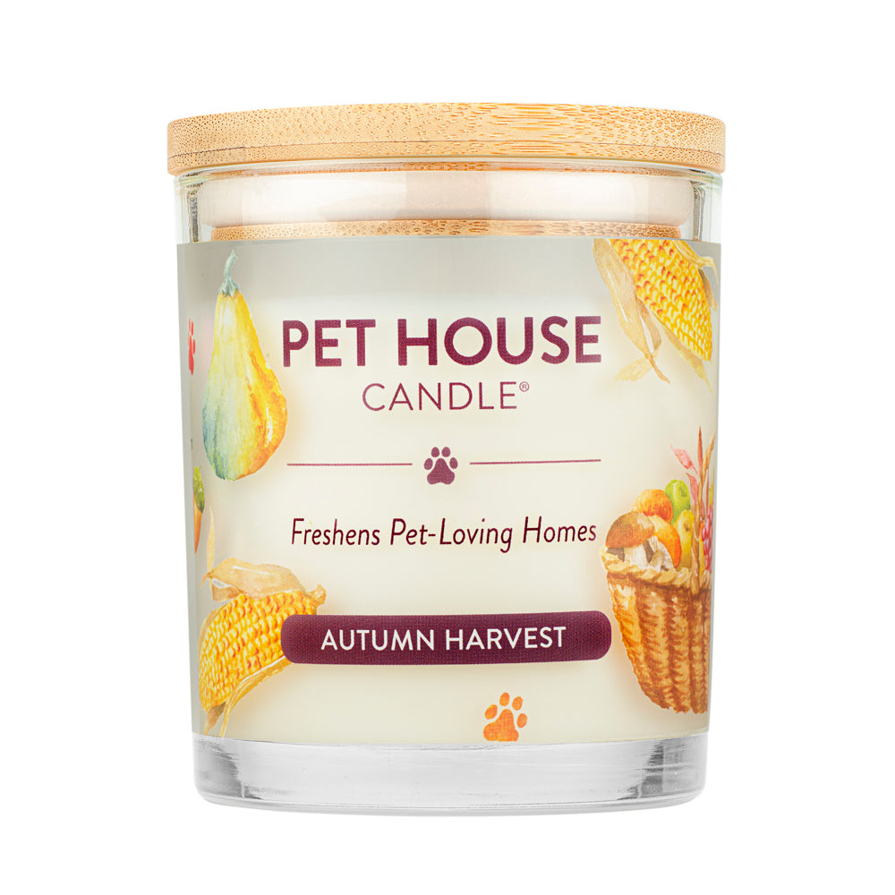 Autumn Harvest Candle