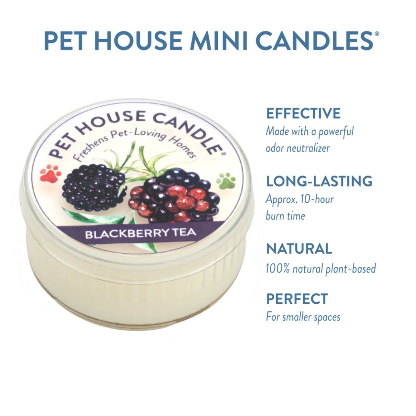 Blackberry Tea Mini Candle Infographics