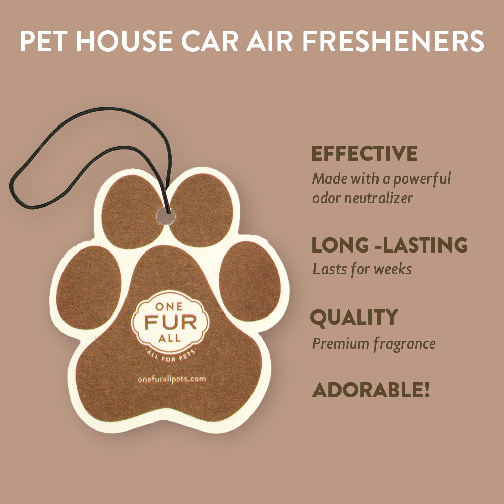 Evergreen Forest Car Air Freshener Infographics