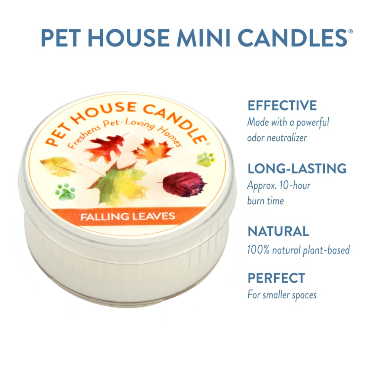 Falling Leaves Mini Candle infographics