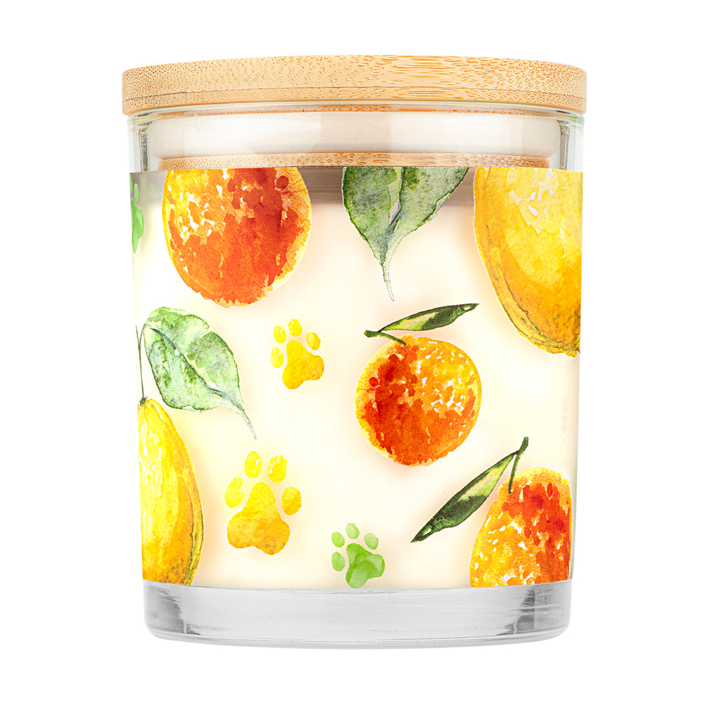 Fresh Citrus Candle Back