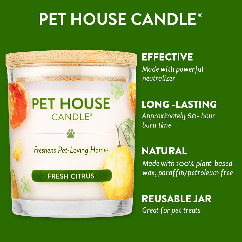 Fresh Citrus Candle infographics