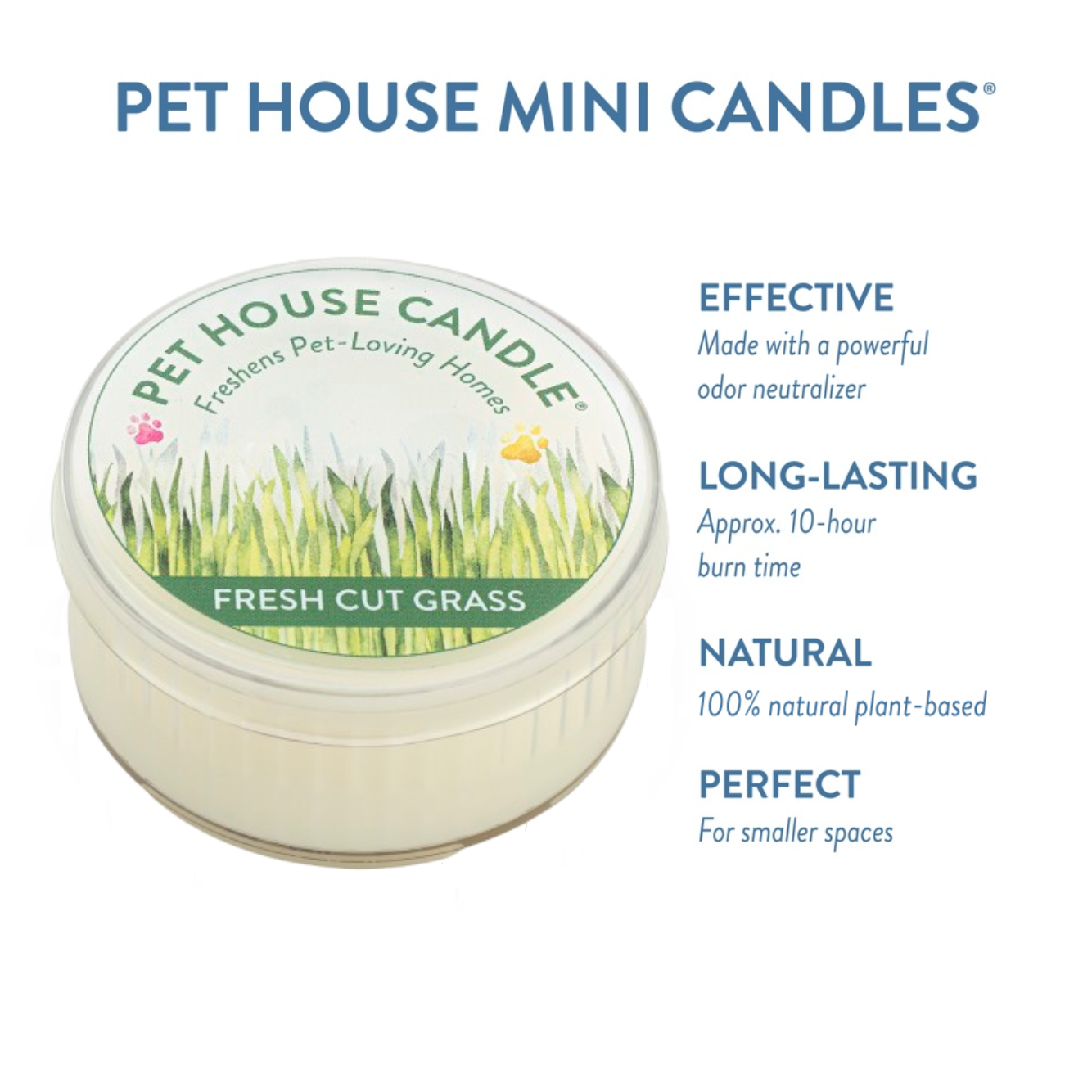 Fresh Cut Grass mini candle infographics