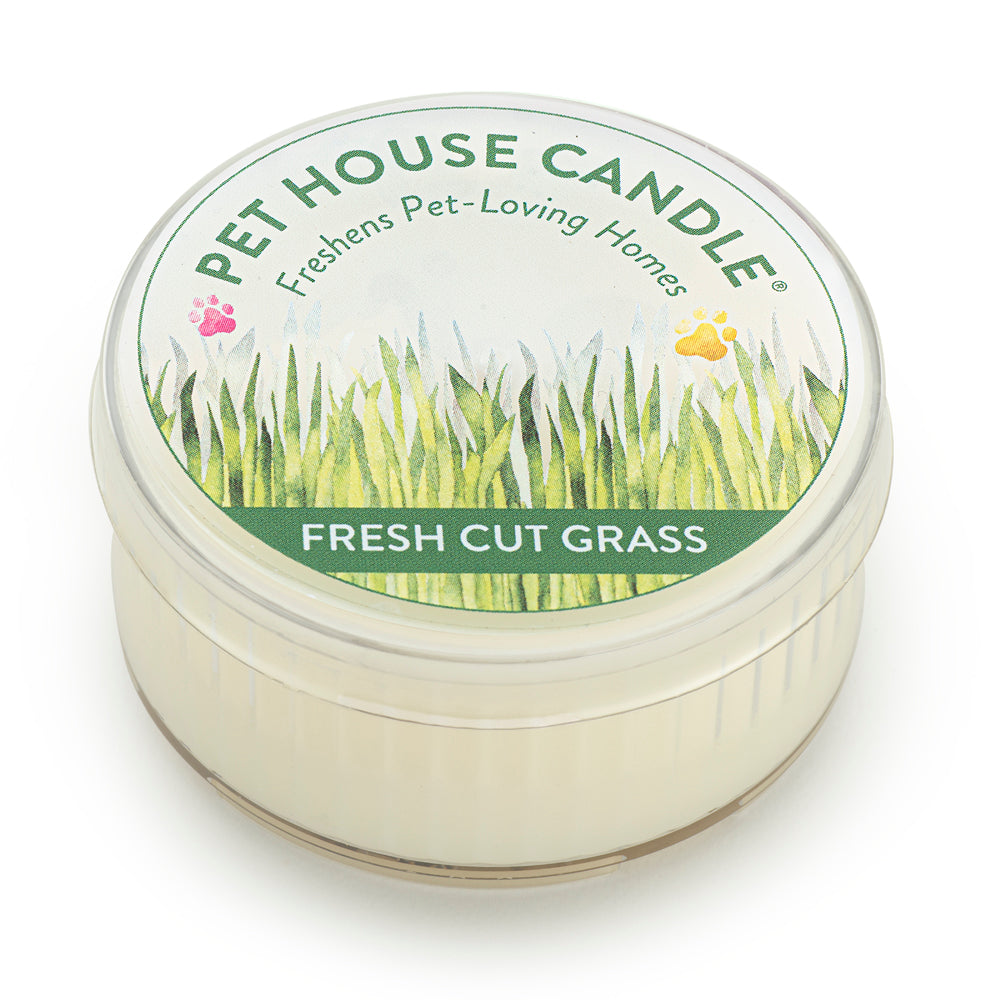 Fresh Cut Grass mini candle