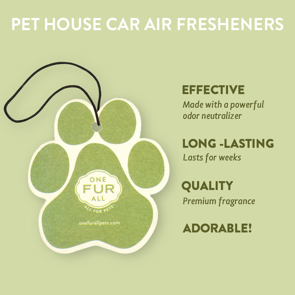 Fresh Citrus Car Air Freshener Infographics