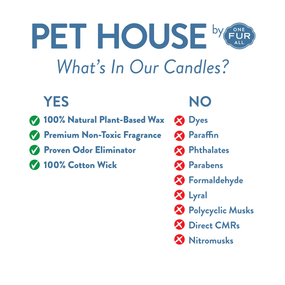 What's in Our Candles