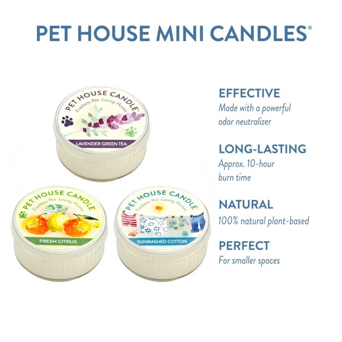 Top Seller Mini Candle Sampler infographics