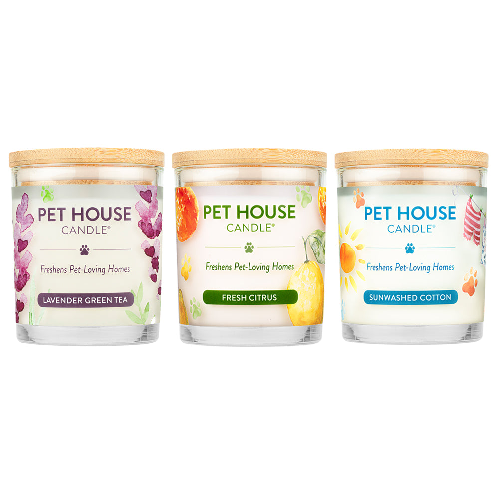 Top selling Pet House Candles for all year