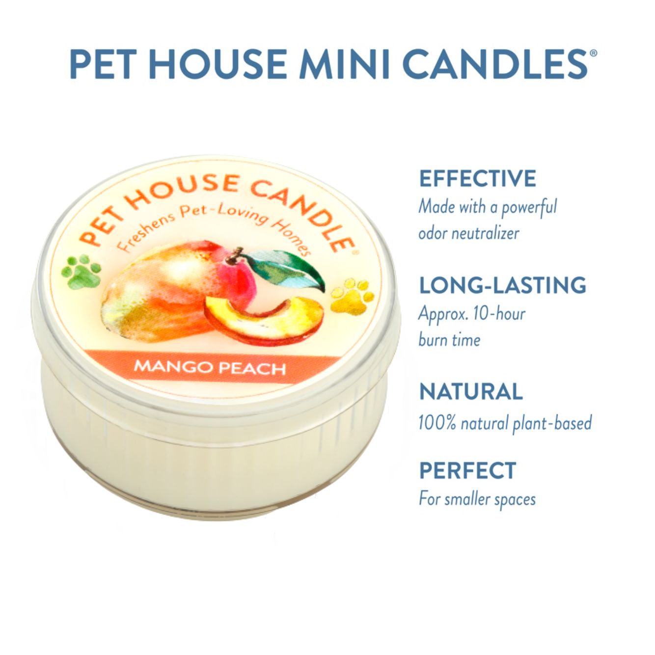 Mango Peach Mini Candle infographics