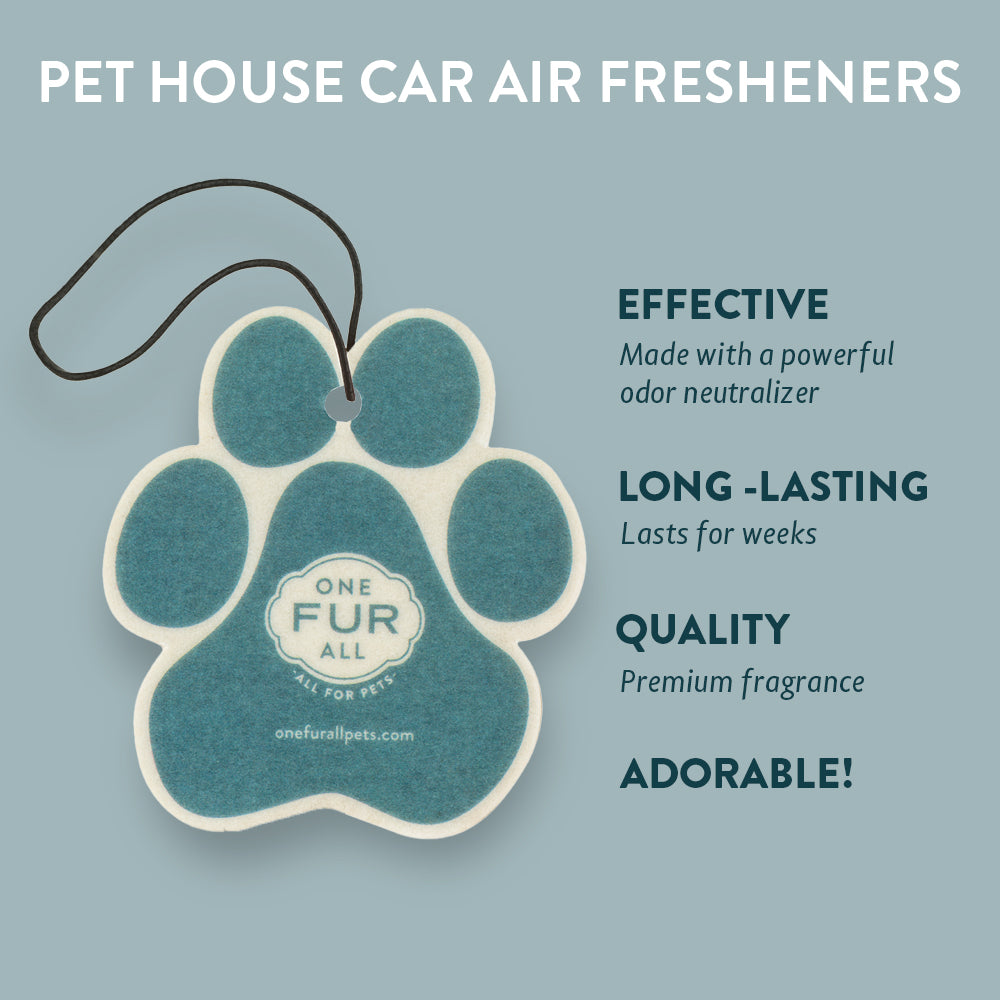 Mediterranean Sea Car Freshener Infographics