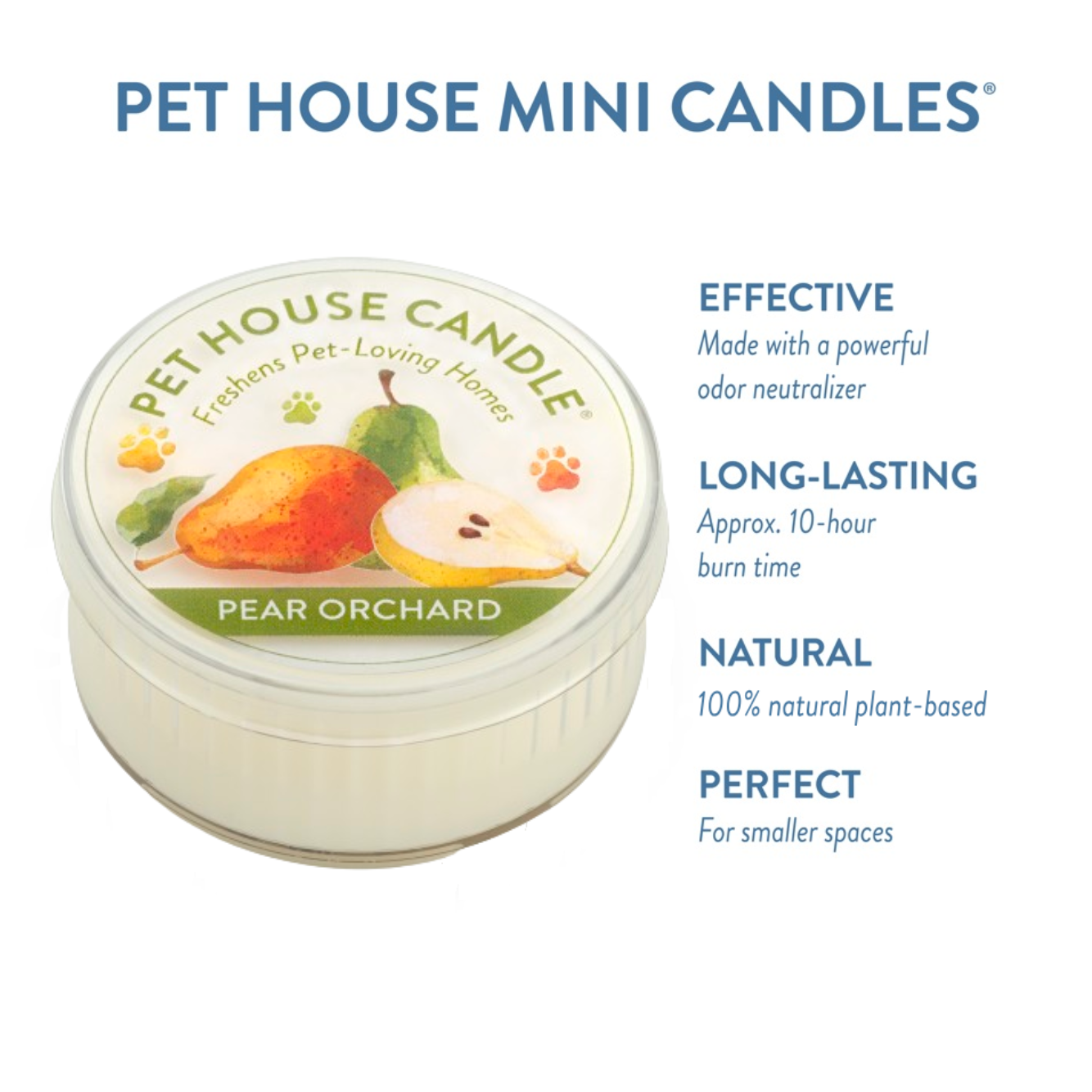 Pear Orchard Mini  Candle Infographics