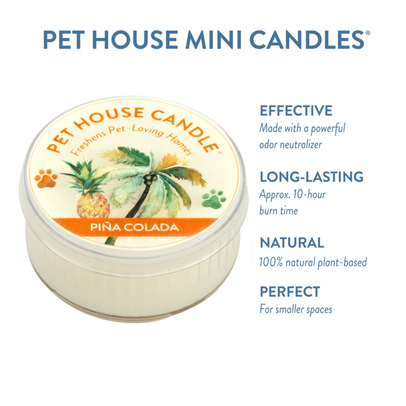 Pina Colada Mini Candle infographics