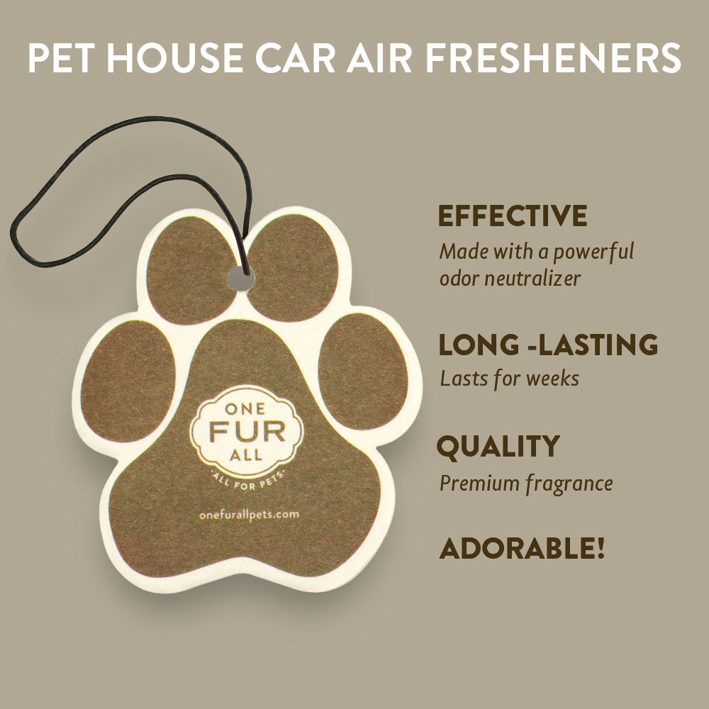 Pumpkin Spice Car Air Freshener infographics