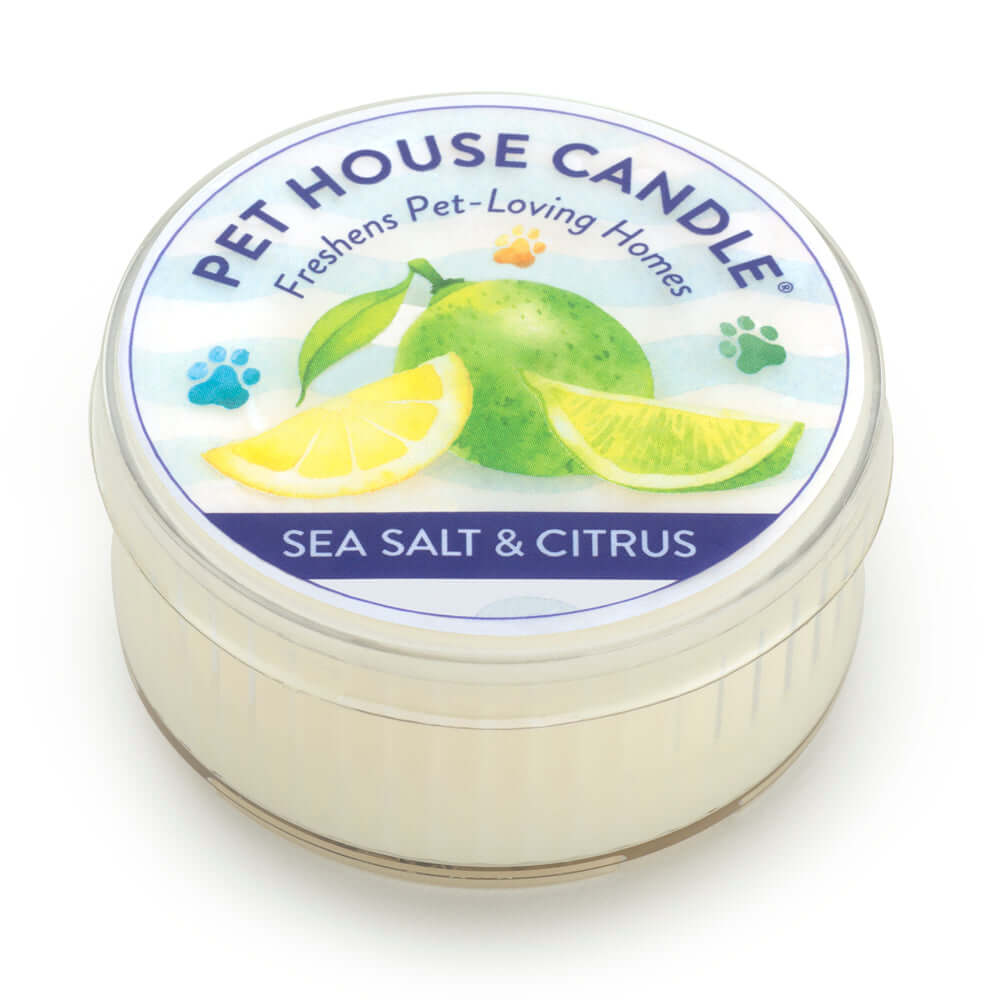 Sea Salt & Citrus Mini