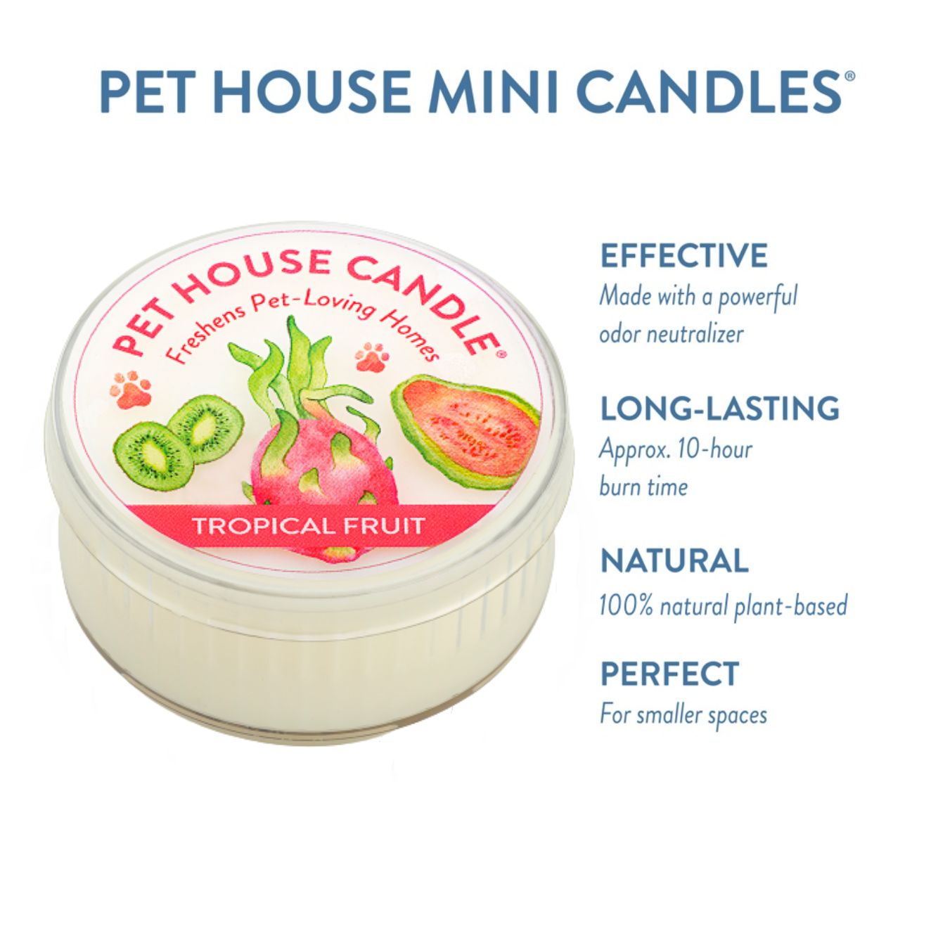 Tropical Fruit Mini Candle infographics