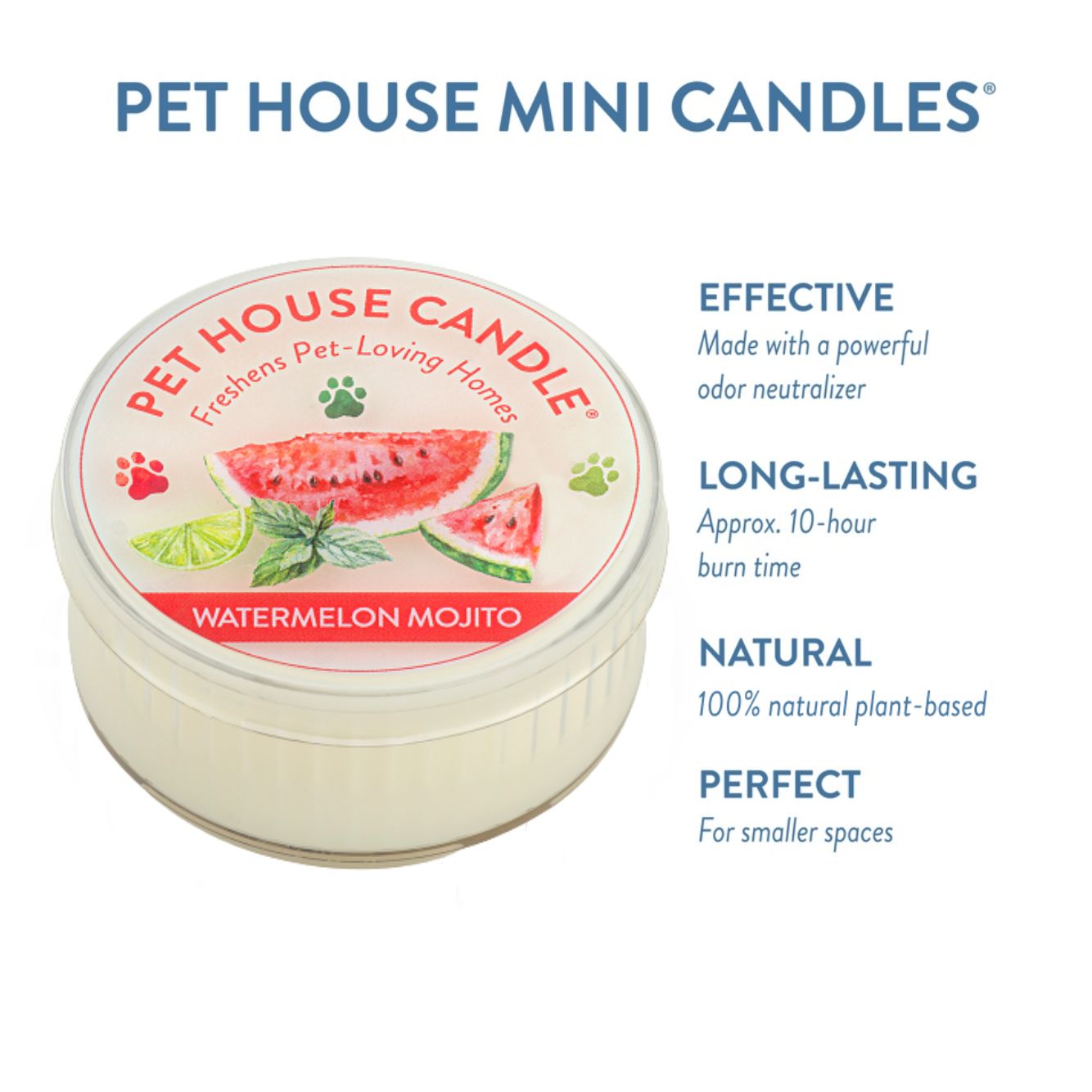 Watermelon Mojito Mini Candle infographics