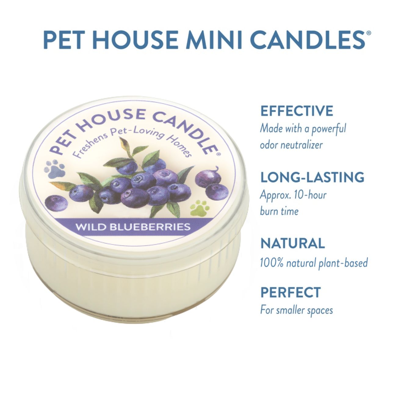 Wild Blueberries Mini Candle infographics