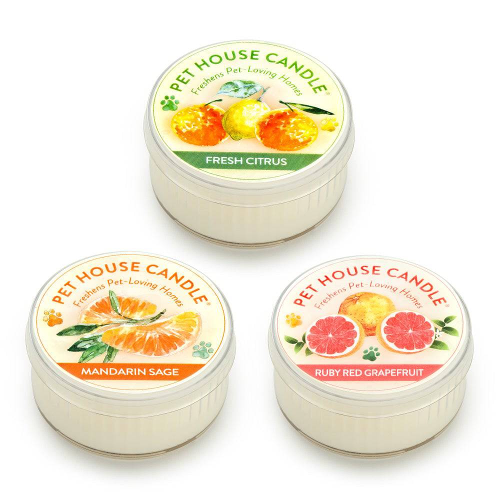 Citrus Mini Candle Sampler