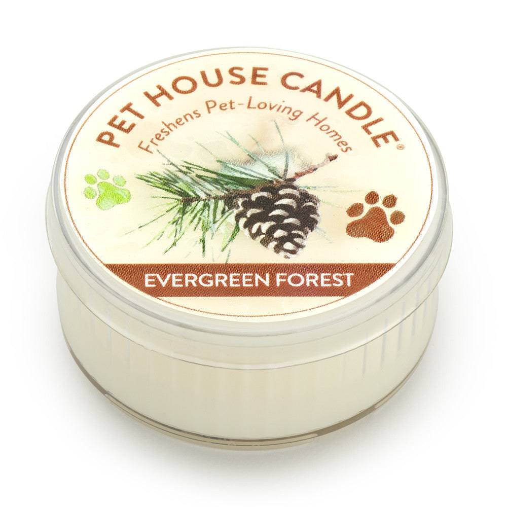 Evergreen Forest Mini Candle