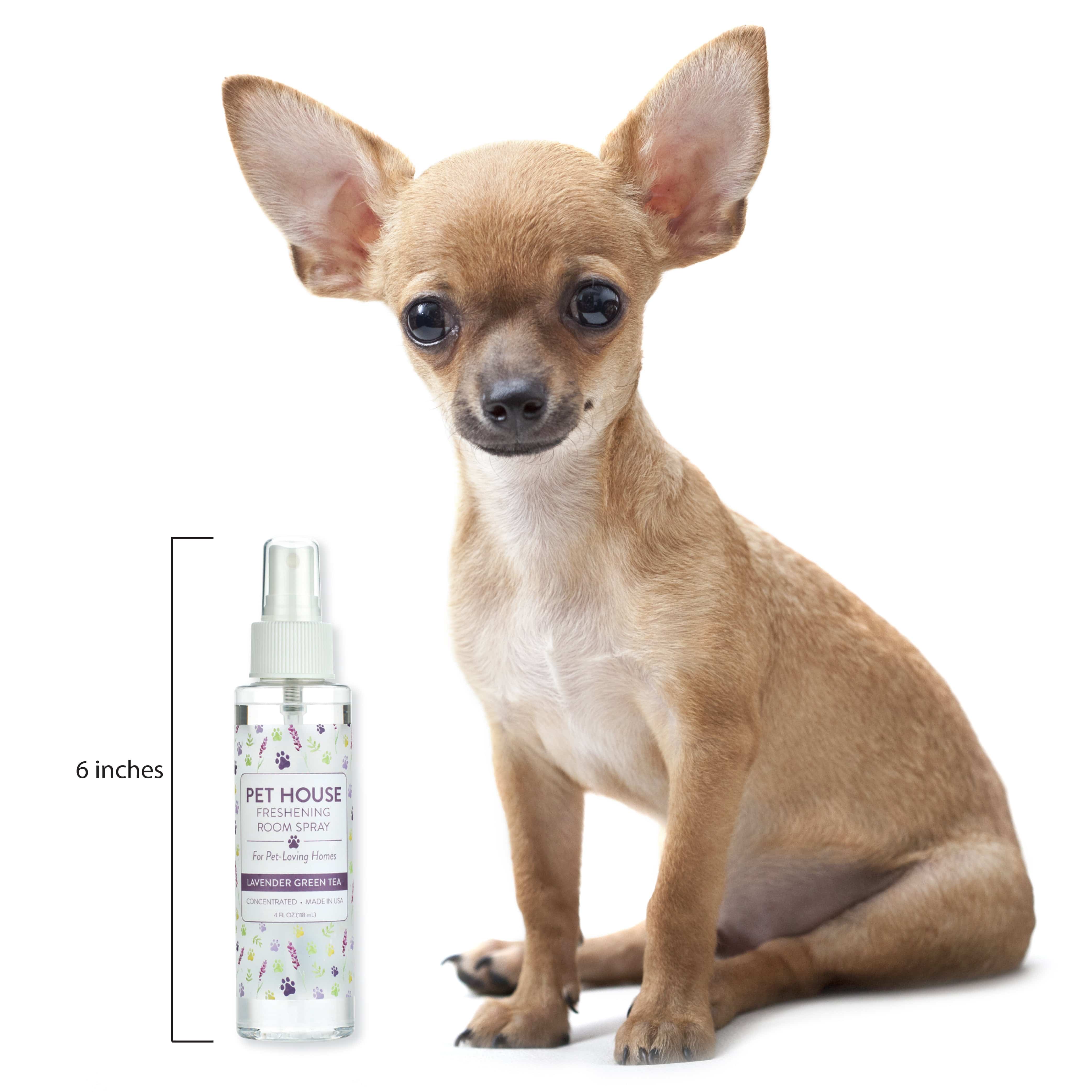 Lavender Green Tea Room Spray beside the dog