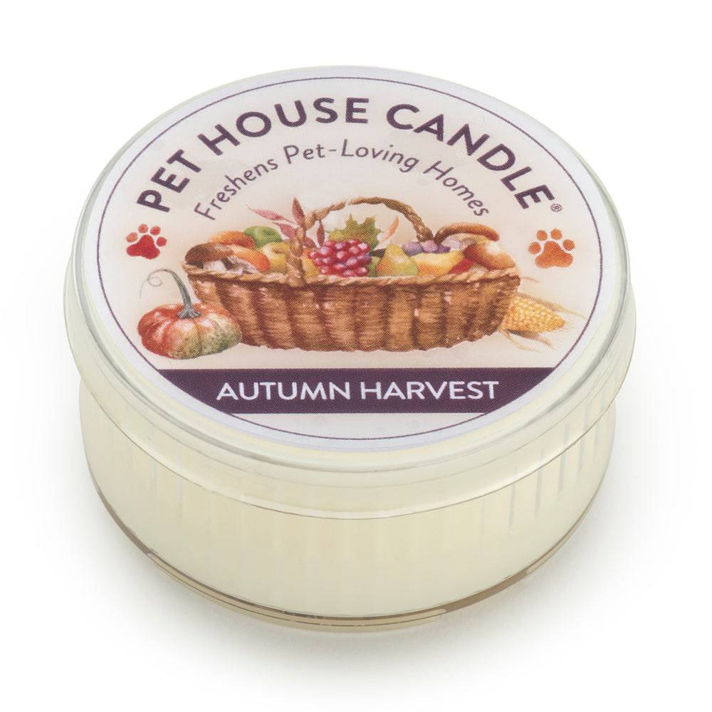 Autumn Harvest Mini Candle