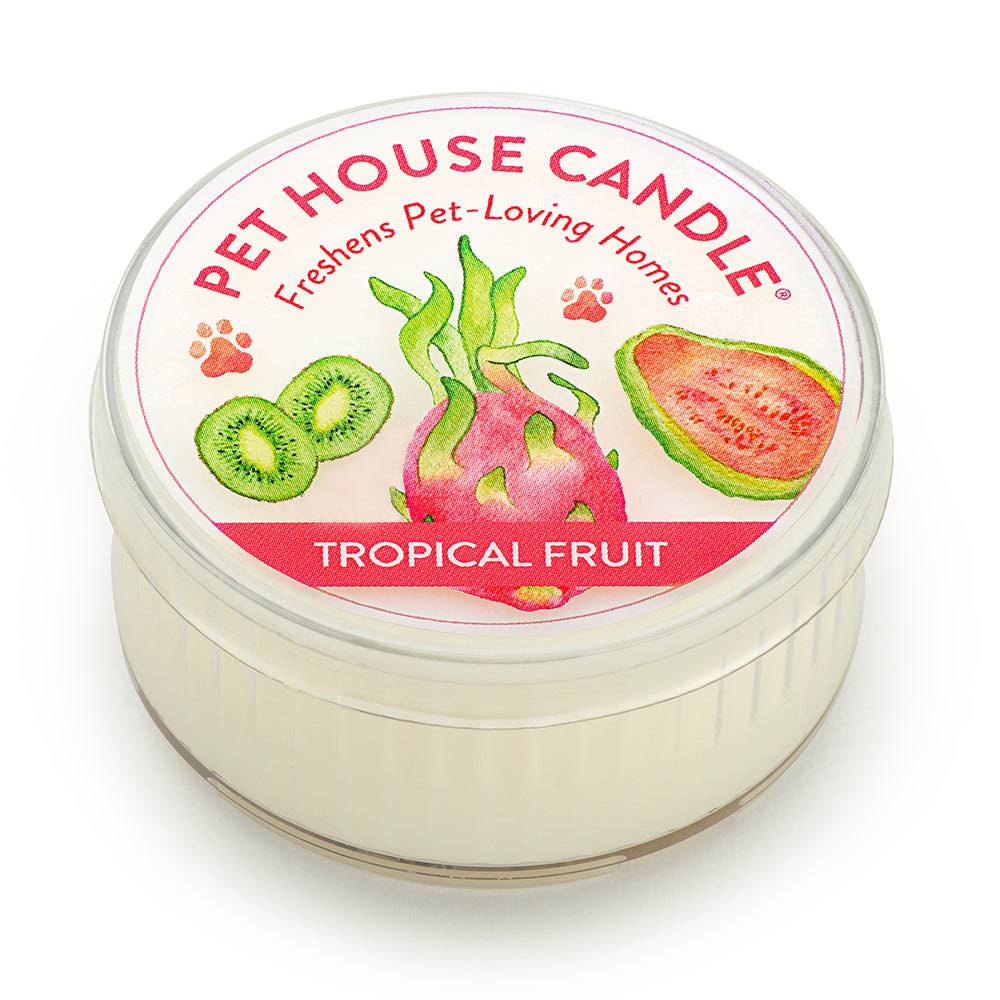 Tropical Fruit Mini Candle