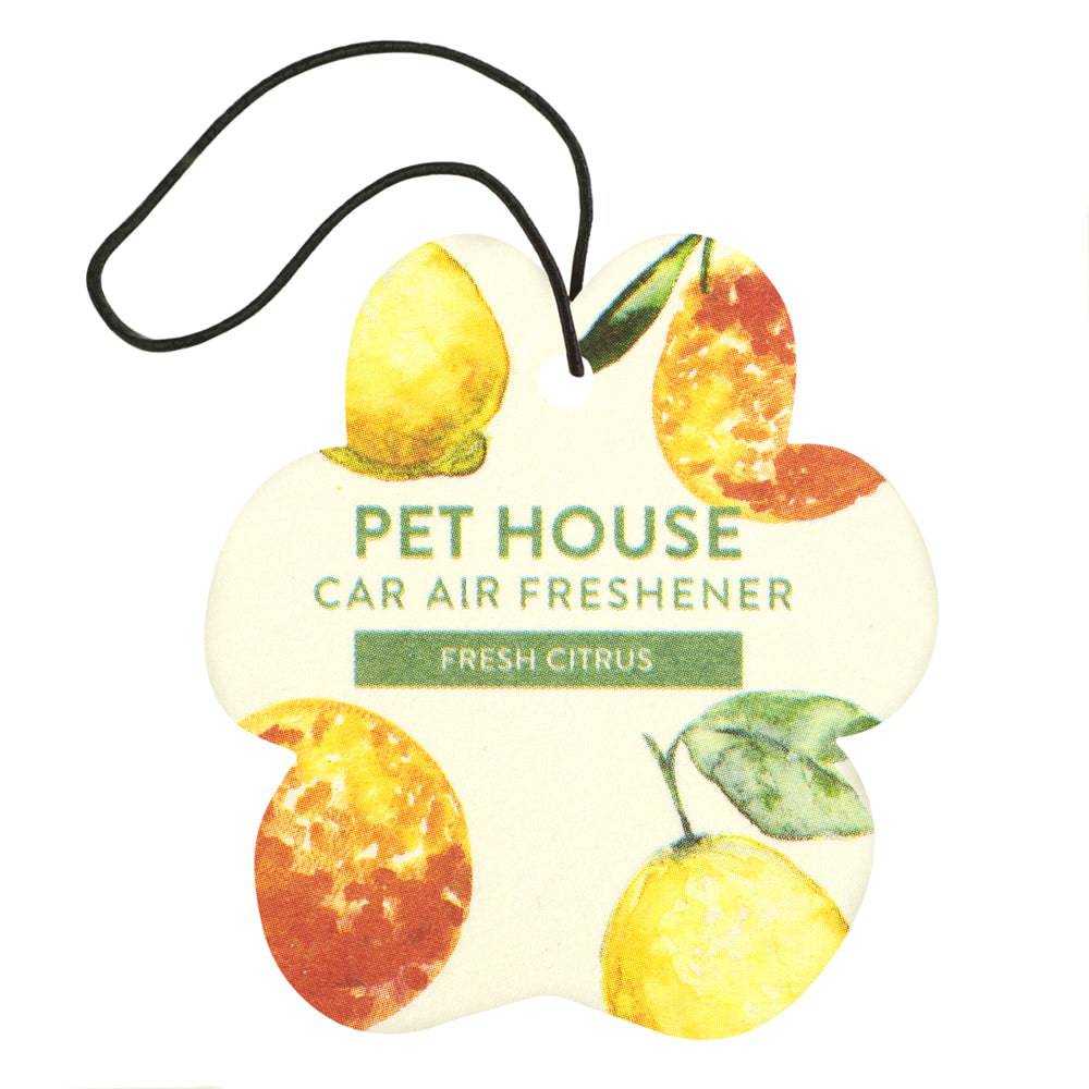 Fresh Citrus Car Air Freshener Back