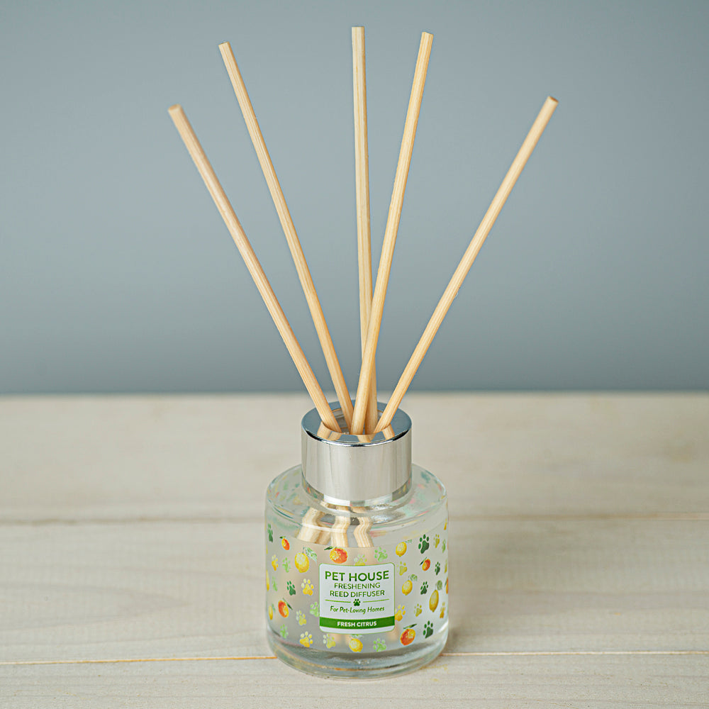 Fresh Citrus Pet House Reed Diffuser lifestyle